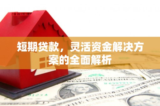 头城短期贷款，灵活资金解决方案的全面解析