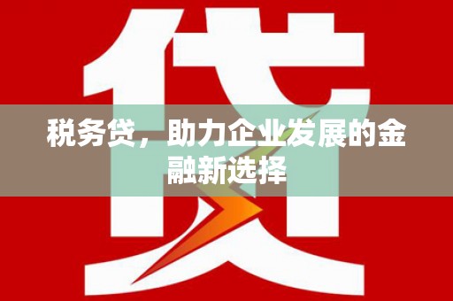 头城税务贷，助力企业发展的金融新选择