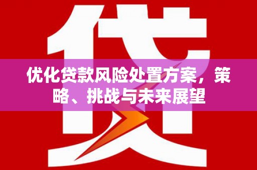 头城优化贷款风险处置方案，策略、挑战与未来展望