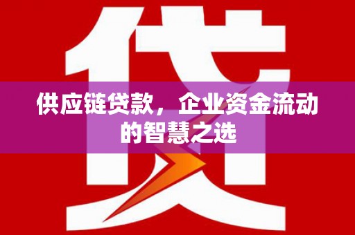 头城供应链贷款，企业资金流动的智慧之选