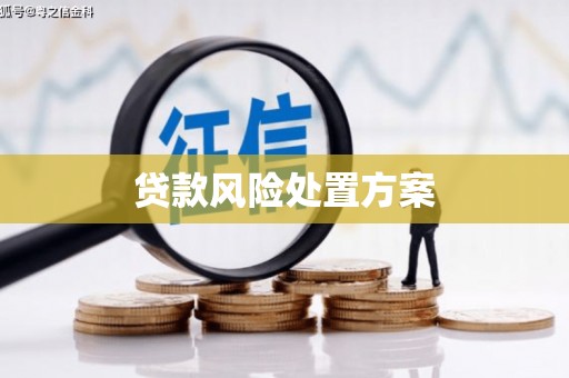 头城贷款风险处置方案