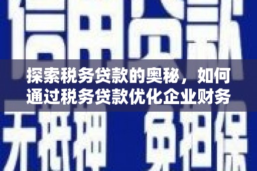 头城探索税务贷款的奥秘，如何通过税务贷款优化企业财务