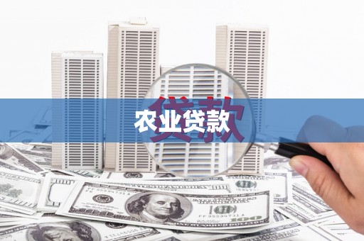 头城农业贷款