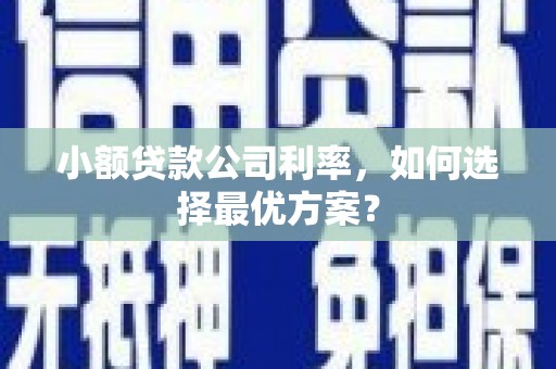 头城小额贷款公司利率，如何选择最优方案？