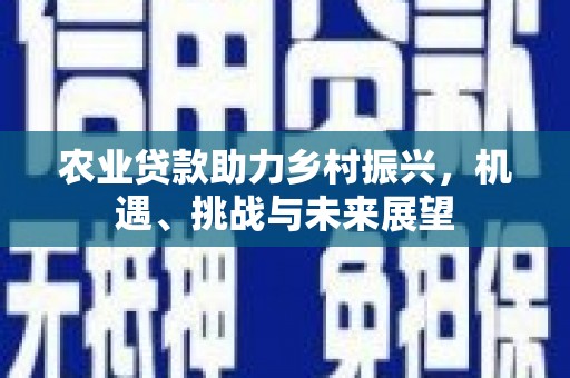 头城农业贷款助力乡村振兴，机遇、挑战与未来展望