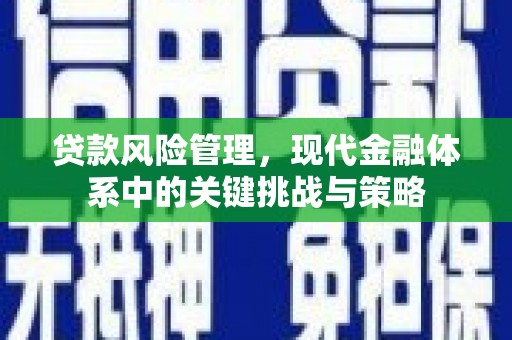 头城贷款风险管理，现代金融体系中的关键挑战与策略