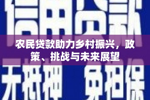 头城农民贷款助力乡村振兴，政策、挑战与未来展望