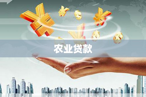 头城农业贷款