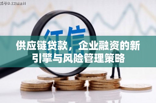 头城供应链贷款，企业融资的新引擎与风险管理策略