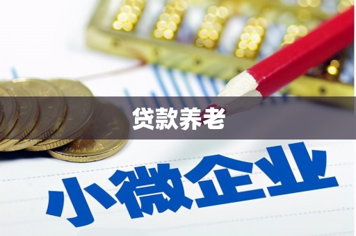 头城贷款养老