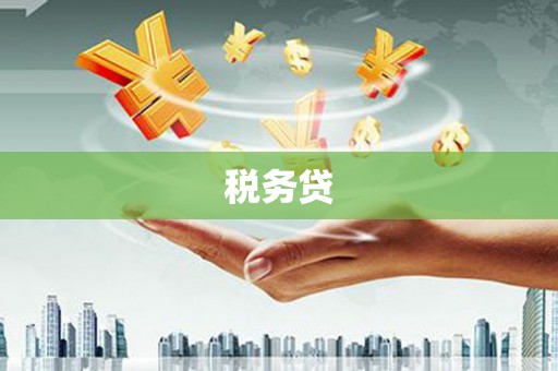 头城税务贷