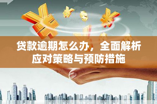 头城贷款逾期怎么办，全面解析应对策略与预防措施