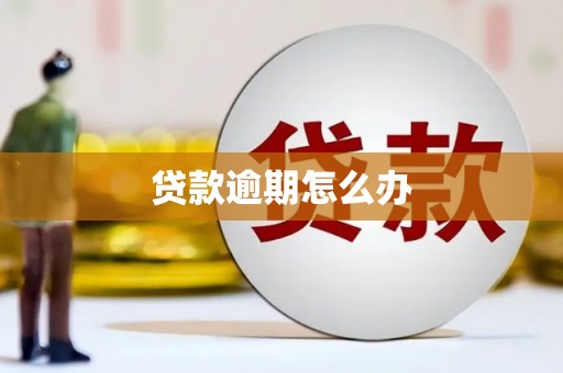 头城贷款逾期怎么办