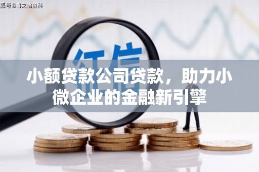 头城小额贷款公司贷款，助力小微企业的金融新引擎