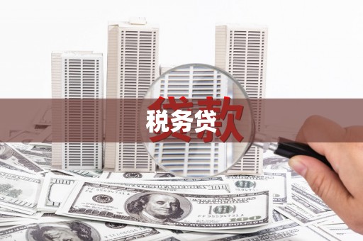 头城税务贷