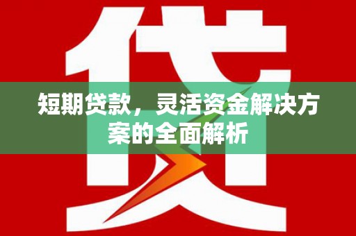 头城短期贷款，灵活资金解决方案的全面解析