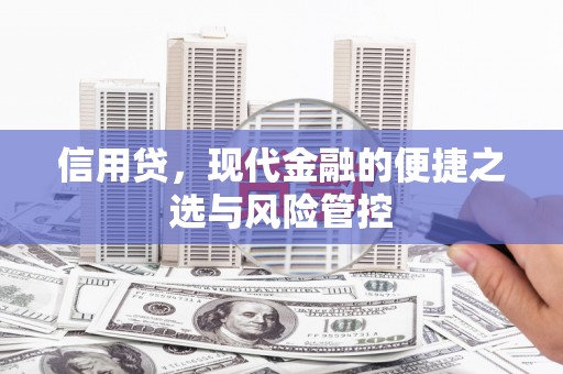 头城信用贷，现代金融的便捷之选与风险管控