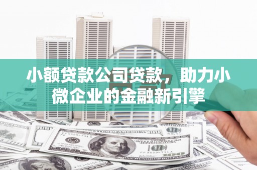 头城小额贷款公司贷款，助力小微企业的金融新引擎