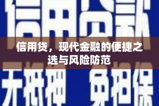 头城信用贷，现代金融的便捷之选与风险防范