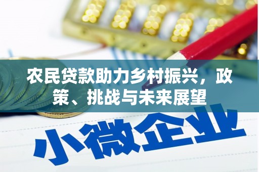 头城农民贷款助力乡村振兴，政策、挑战与未来展望