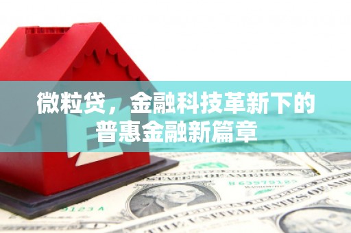 头城微粒贷，金融科技革新下的普惠金融新篇章