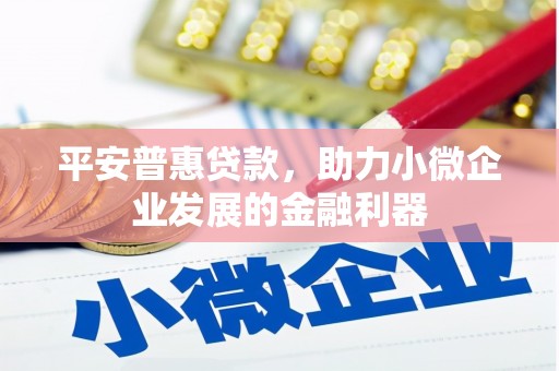 头城平安普惠贷款，助力小微企业发展的金融利器