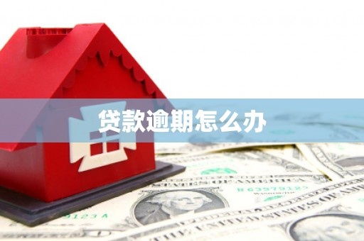 头城贷款逾期怎么办