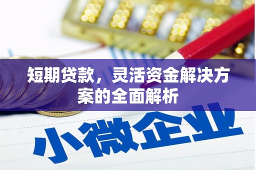 头城短期贷款，灵活资金解决方案的全面解析