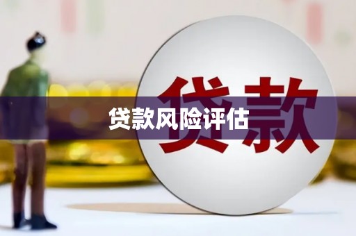 头城贷款风险评估