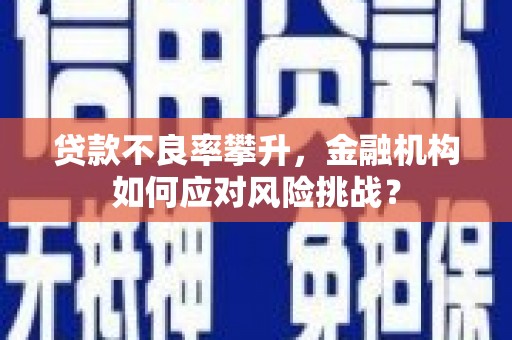 头城贷款不良率攀升，金融机构如何应对风险挑战？