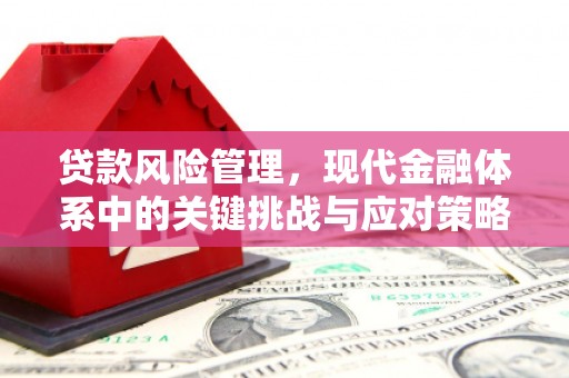 头城贷款风险管理，现代金融体系中的关键挑战与应对策略