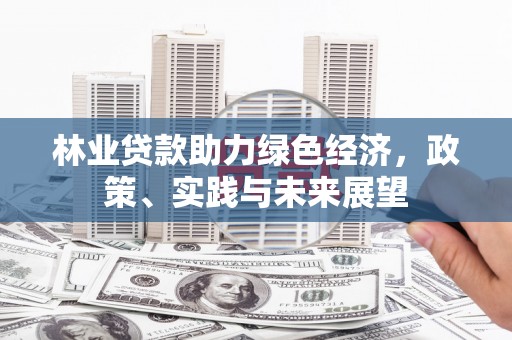 头城林业贷款助力绿色经济，政策、实践与未来展望