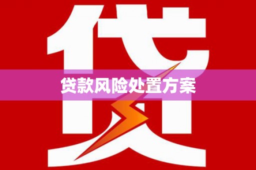 头城贷款风险处置方案
